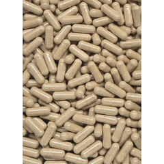 Dandelion Root Powder Capsules (500mg)