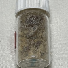 Frankincense Gum Resin – Small Bottle – Pale Yellow & Amber Tears – Unbranded