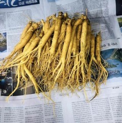 Korean Red Ginseng Root 3 years *fresh* 1kg *man’s health*