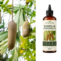 KIGELIA AFRICANA Oil African Sausage Tree – *2 In 1* RAPID ABSORPTION – 100ml