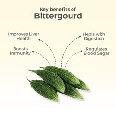 Dried Bitter Melon Slices Herbal Tea 100% Organic Pure Blood Sugar Support Fresh