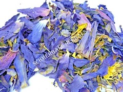 1 oz Organic Blue Lotus, N. caerulea, Deep Purple Thai™ ~ Schmerbals Herbals