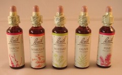 Bach Flower Remedies, Clematis 20ml. BBE 12/2029