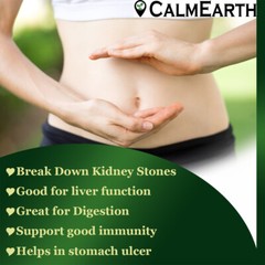 CalmEarth Chanca Piedra Organic Herbal Capsule 100% Pure Phyllanthus niruri