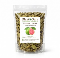 Dried Guava Leaves – Natural Psidium Guajava Tea Leaves, Hojas de Guayaba