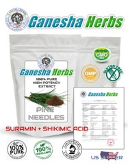 100% PURE PINE NEEDLE CONCENTRATED 10:1 EXTRACT POWDER SURAMIN SHIKIMIC ACID
