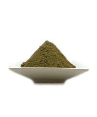 Peppertree Leaf Powder Herb Schinus molle FRESH Batch Brazil Amazon Herb US SHIP