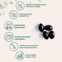 Micro Ingredients Ceylon Cinnamon | 300 Softgels with MCT Oil | Highly Bioavaila