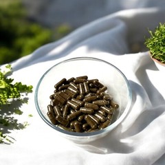 Organic Black Walnut Hull Capsules 50-100-150-200-300-500 Parasite Cleanse
