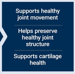 GLUCOSAMINE CHRONDROITIN HEALTHY JOINTS and CARTILAGE 500 Capsule LIFE EXTENSION
