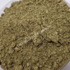 Stone Breaker, Phyllanthus urinaria, Plant Powder ~ Schmerbals Herbals