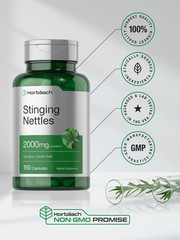 Stinging Nettle Capsules 2000mg | 150 Count | Herbal Extract | by Horbaach