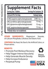 L-Arginine – NITRIC OXIDE 3150 – Perpetual Pump – Over 3000mg – 1Bot 90Ct