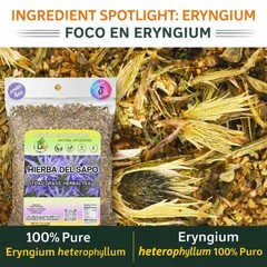 Hierba Del Sapo Herbal Tea 4oz | Mexican Thistle-Eryngium Heterophyllium | Craft