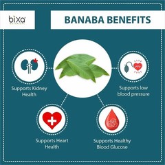 Bixa Botanical Banaba Leaf Powder 200g a181