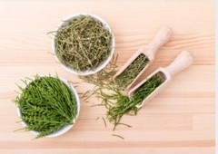 Horsetail (Shavegrass) Leaf | Whole Herb or Powder 1oz / 4oz / 8oz | Silica-Rich