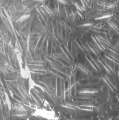 1000 Real Empty Vegetarian Clear Caps Capsule Size 0 Halal Vegan Refill Herbal