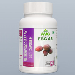 6 Pack Blushwood berry 20:1 Extract ebc 46 360 Capsule EXP JAN 2028.,,