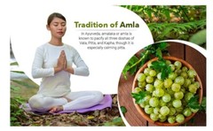 Amla Powder 2 lb (32 oz) | Wild Indian Gooseberry | Vitamin C Superfood