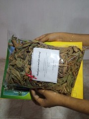 Ceylon Thebu Leaves Costus Natural Insulin Plant Organic Diabetic Tea 120g