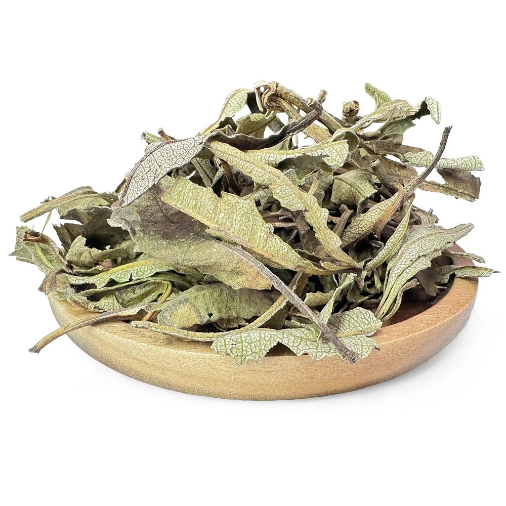 NY Herb Shop Yerba Santa Leaf Whole Wild Crafted | Bulk Wholesale Herbal Tea
