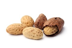 African Bitter Kola Nut – Freshly from Africa – 10 Nuts per Pack – High Quality