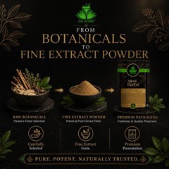 SAI HERBS Speedwell Herb Extract Powder – Good for Healthy Lifestyle