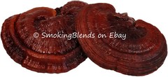 Reishi | Whole Mushrooms | 4 oz | Lingzhi | Ganoderma Lucid | Surfside Naturals