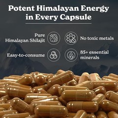 Better Alt Shilajeeet Capsules Helps Improve Energy & Stamina 60 Capsule