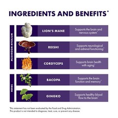 Host Defense Lion’s Mane Herbal Supplement for Brain Health 60 Capsules