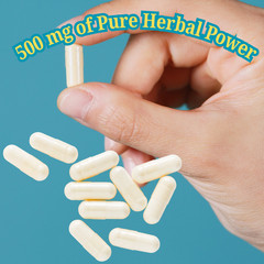 Arrowroot Extract Capsules 60/120 Ct | Vegan 100% Natural Gentle Digestive Aid