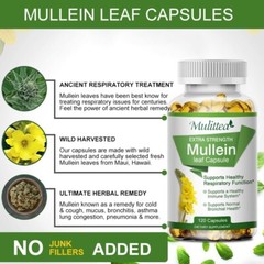 120 Mullein Leaf Capsules for Lung Cleansing&Detox Herbal Dietary Supplement