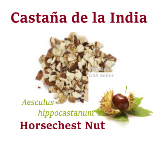 Horse chestnut Castana de la india Castano de la india Aesculus hippocastanum
