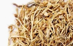 Nettle Root Organic Dried Cut / Farm Fresh Packed USA Free Ship