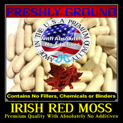 IRISH MOSS RED Sea Weed With Absolutely No Additives Raw 100 Vegetarian Capsule