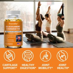 Glucosamine Chondroitin Bee Venom Turmeric & MSM – Bones, Joint Support