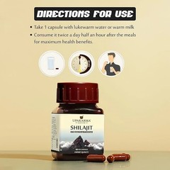 UPAKARMA Shilajit | Pure Extract Based (300 mg) Natural Strength & Stamina Boost