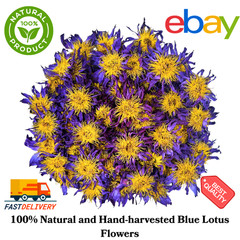 Blue Lotus Dried Flower 32 Oz Nymphaea Caerulea Herbal Tea 100% Natural