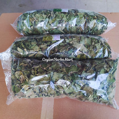 Organic Dried Insulin Plant Leaves Costus Igneus / Fiery Costus Leaf Herbal Tea