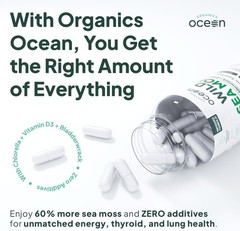 Organics Ocean Wild Sea Moss Capsules – 100% Organic 60 Count (Pack of 1)