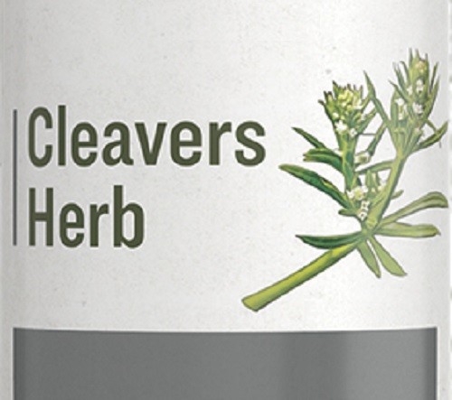 CLEAVERS HERB – Normal Urinary Tract & Lymphatic Function Support Tincture USA