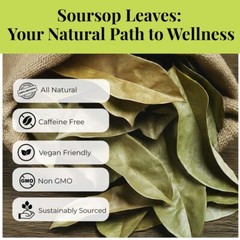 200+ Dried Soursop Leaves , Hojas De Guanabana, Soursop Leaf Tea, 2.6oz
