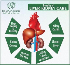 4x Liver & Kidney Care 500mg, 60veg. Cap. Dr. JPG Organic ISO & GMP Certified
