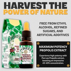 Brazil Green Bee Propolis Liquid Extract – Alcohol-Free, 30ML, Natural Health Bo