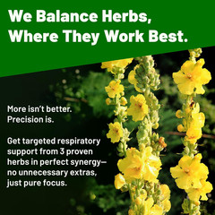 Mullein Drops for Lungs – USDA Organic Liquid – Mullein Leaf Extract 4 fl oz
