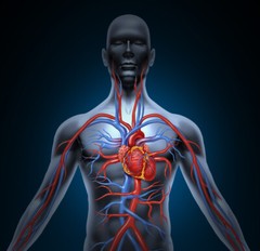 STEM CELL Enhancer 500mg – Organic Blue Green Algae – Anti Aging – 3 Bottles