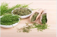 Rosemary Herb or Powder | Natural Memory Hair & Digestive Support | 1/4/8 oz