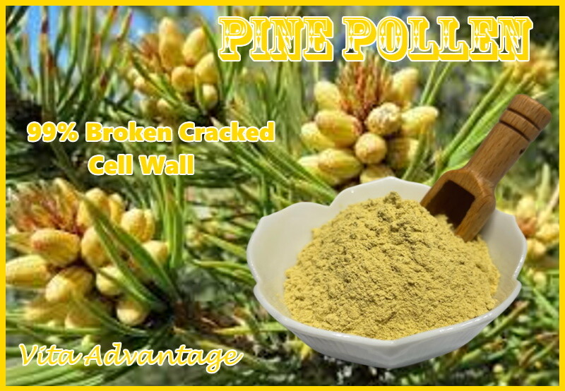 Organic Pine Pollen Powder 99% Broken Cracked Cell Wall (wild harvested)