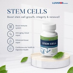 Stem Cells 60 Capsules For Renewall, Growth, Repairs Cells