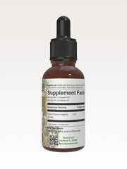Thyme Tincture – Immune System (Alcohol Free)